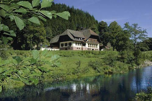 Hotel Restaurant Ochsenwirtshof Bad Rippoldsau-Schapbach Exterior photo